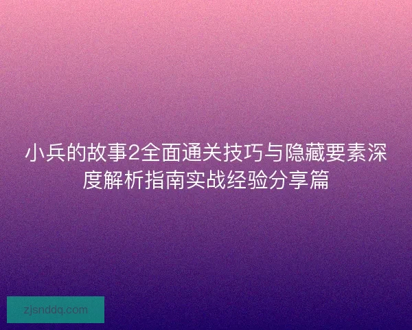 小兵的故事2全面通关技巧与隐藏要素深度解析指南实战经验分享篇